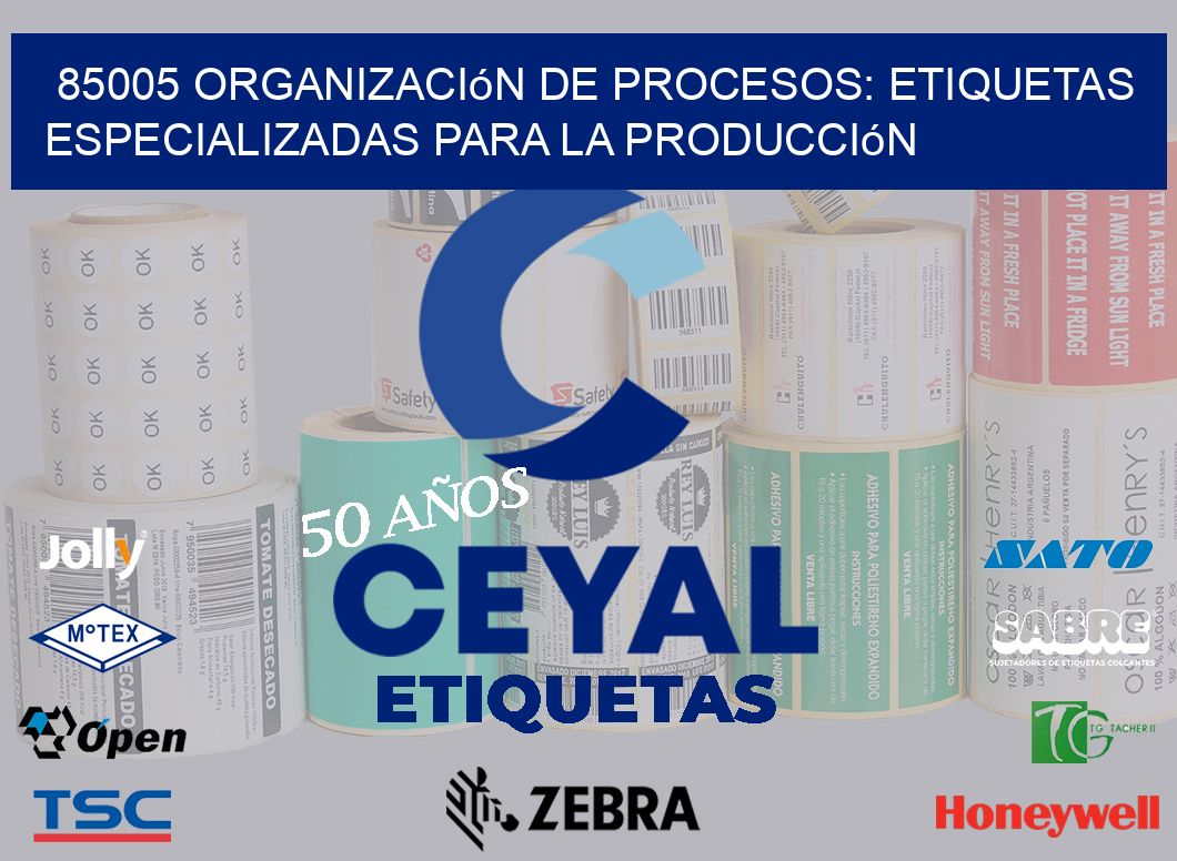 85005 Organización de Procesos: Etiquetas Especializadas para la Producción