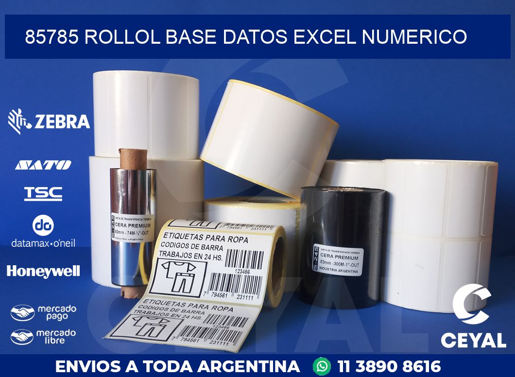 85785 rollol base datos excel numerico