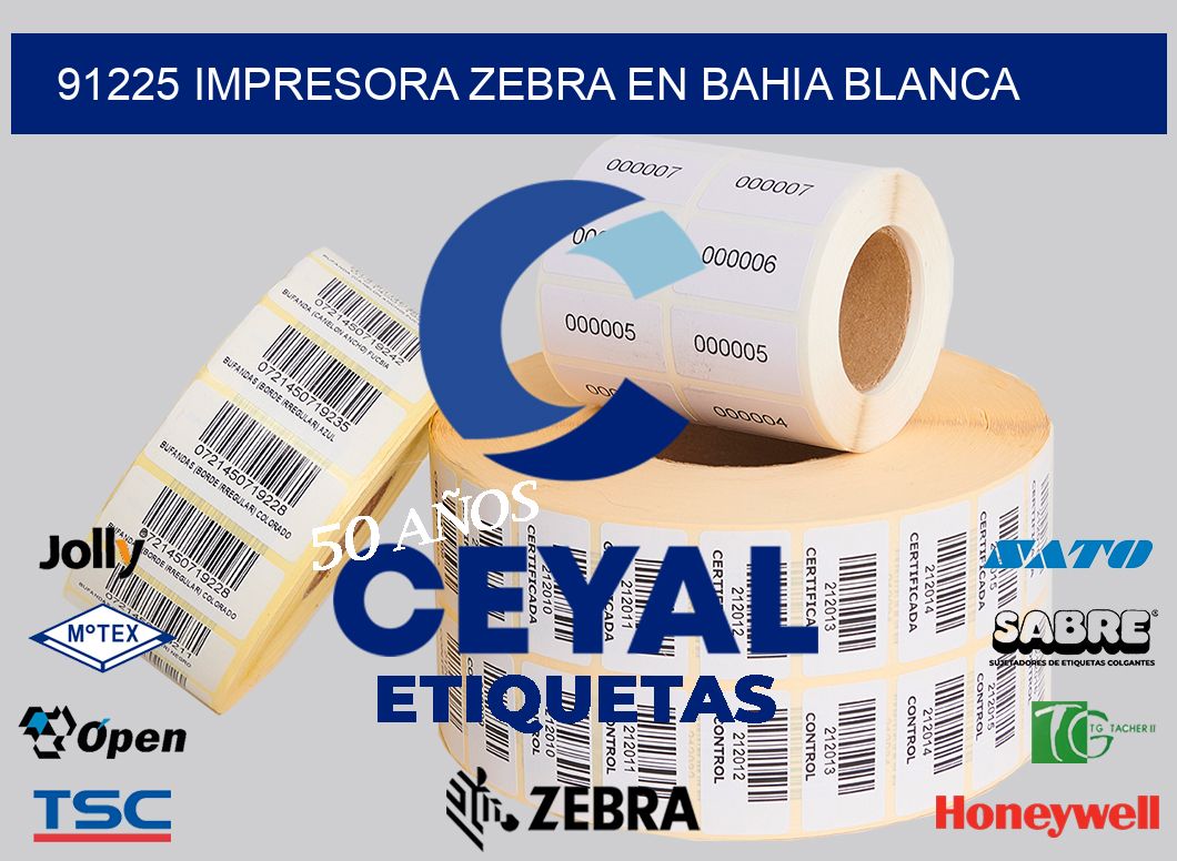 91225 IMPRESORA ZEBRA EN BAHIA BLANCA