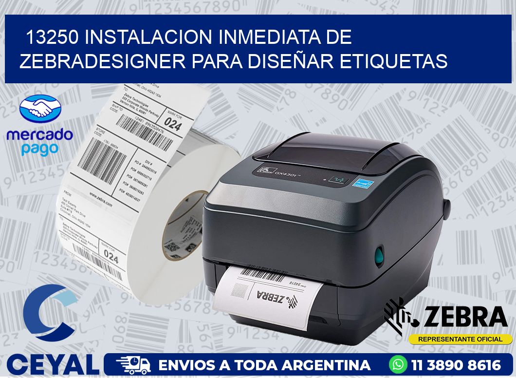 13250 INSTALACION INMEDIATA DE ZEBRADESIGNER PARA DISEÑAR ETIQUETAS