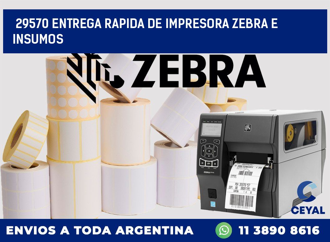 29570 ENTREGA RAPIDA DE IMPRESORA ZEBRA E INSUMOS