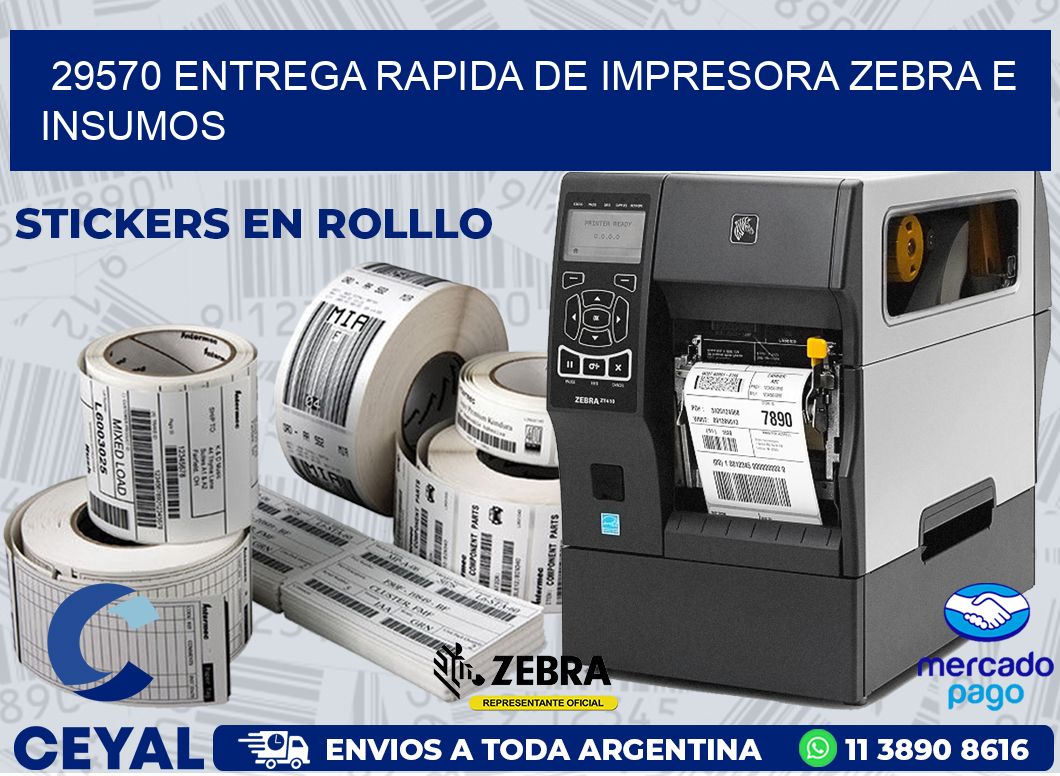 29570 ENTREGA RAPIDA DE IMPRESORA ZEBRA E INSUMOS