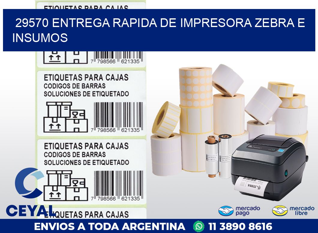 29570 ENTREGA RAPIDA DE IMPRESORA ZEBRA E INSUMOS