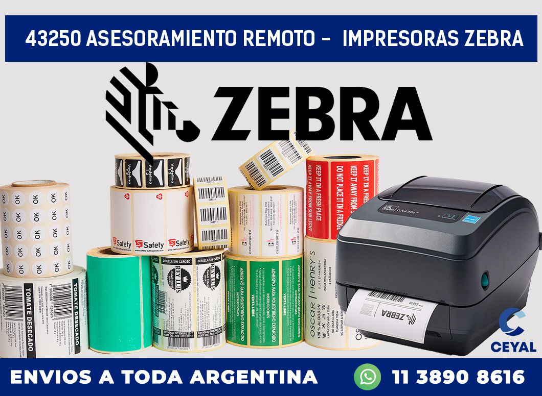 43250 ASESORAMIENTO REMOTO –  IMPRESORAS ZEBRA