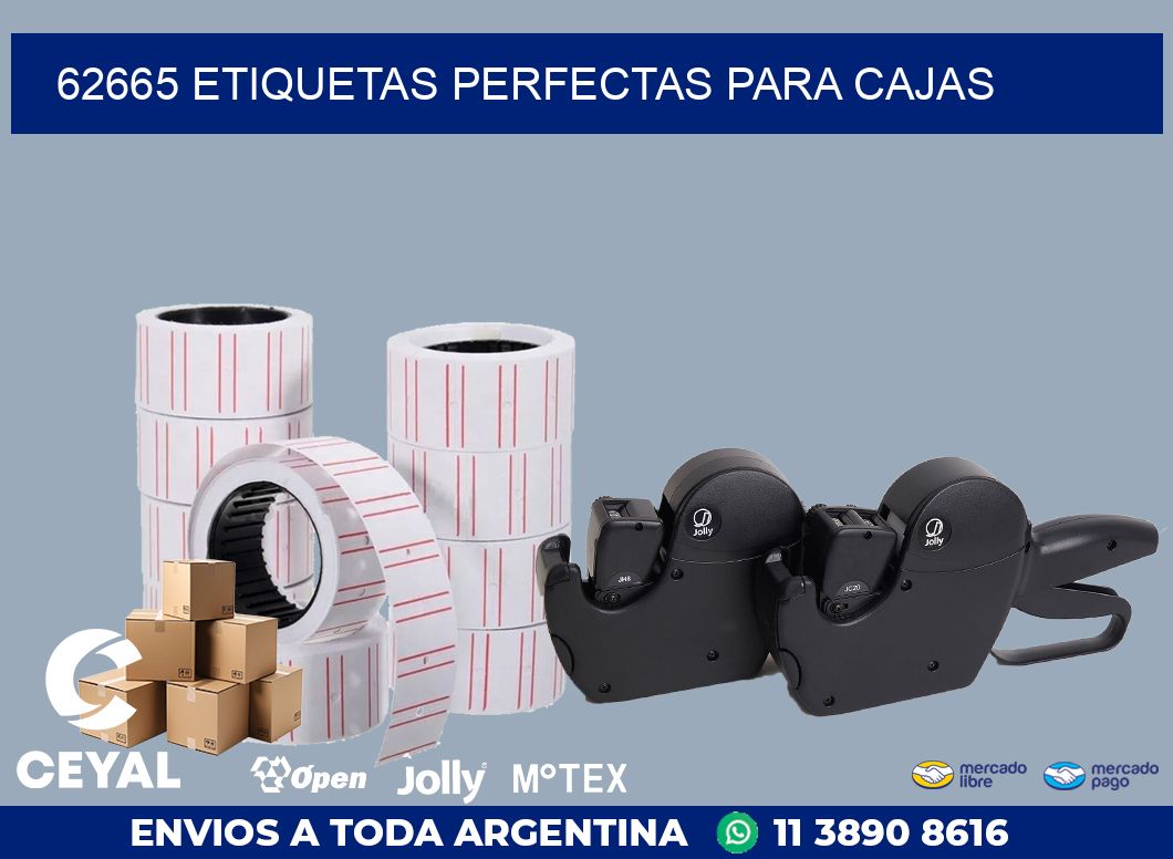 62665 ETIQUETAS PERFECTAS PARA CAJAS