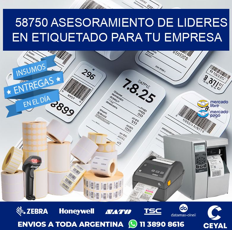 58750 ASESORAMIENTO DE LIDERES EN ETIQUETADO PARA TU EMPRESA