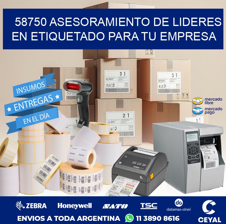 58750 ASESORAMIENTO DE LIDERES EN ETIQUETADO PARA TU EMPRESA