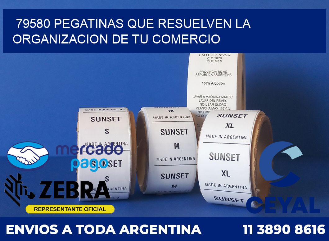 79580 PEGATINAS QUE RESUELVEN LA ORGANIZACION DE TU COMERCIO