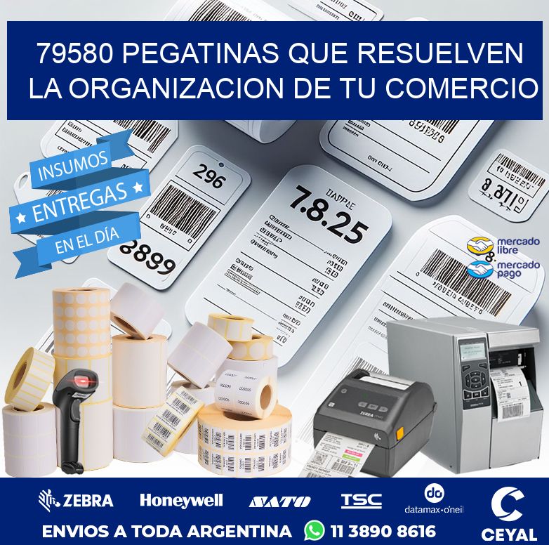 79580 PEGATINAS QUE RESUELVEN LA ORGANIZACION DE TU COMERCIO