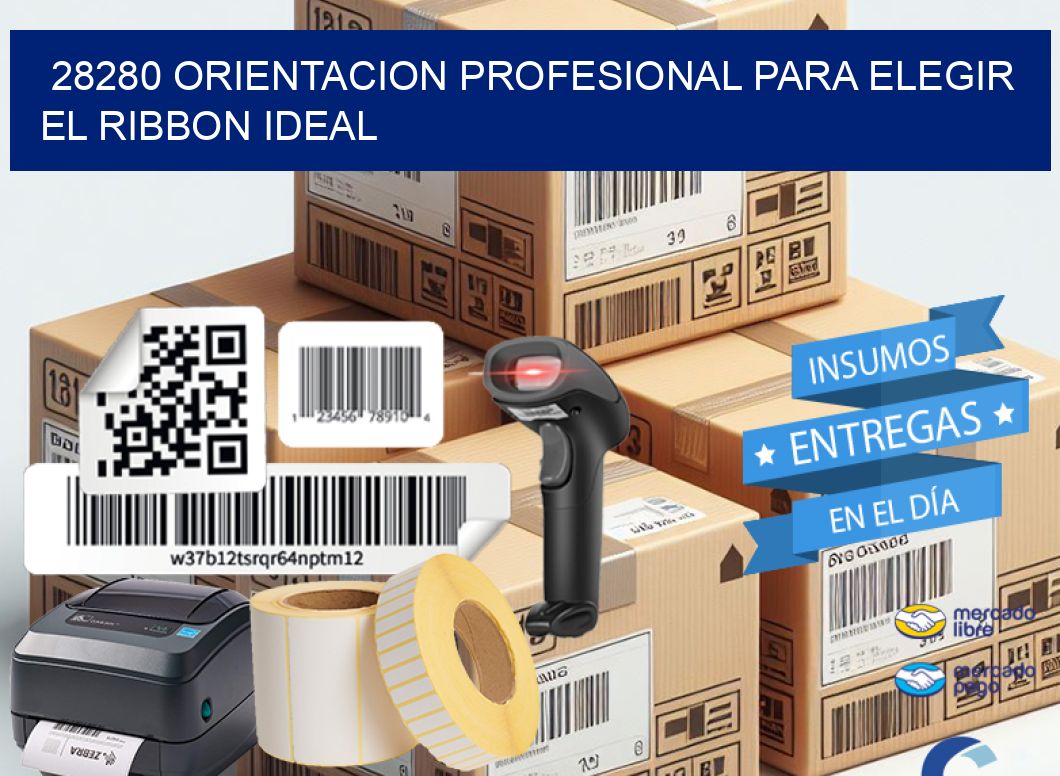 28280 ORIENTACION PROFESIONAL PARA ELEGIR EL RIBBON IDEAL