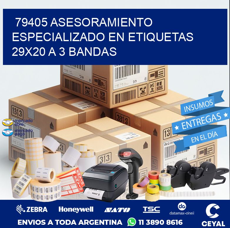 79405 ASESORAMIENTO ESPECIALIZADO EN ETIQUETAS 29X20 A 3 BANDAS