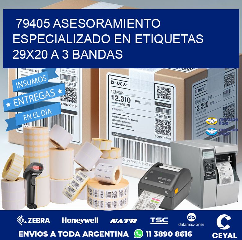 79405 ASESORAMIENTO ESPECIALIZADO EN ETIQUETAS 29X20 A 3 BANDAS