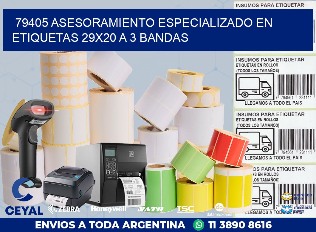 79405 ASESORAMIENTO ESPECIALIZADO EN ETIQUETAS 29X20 A 3 BANDAS