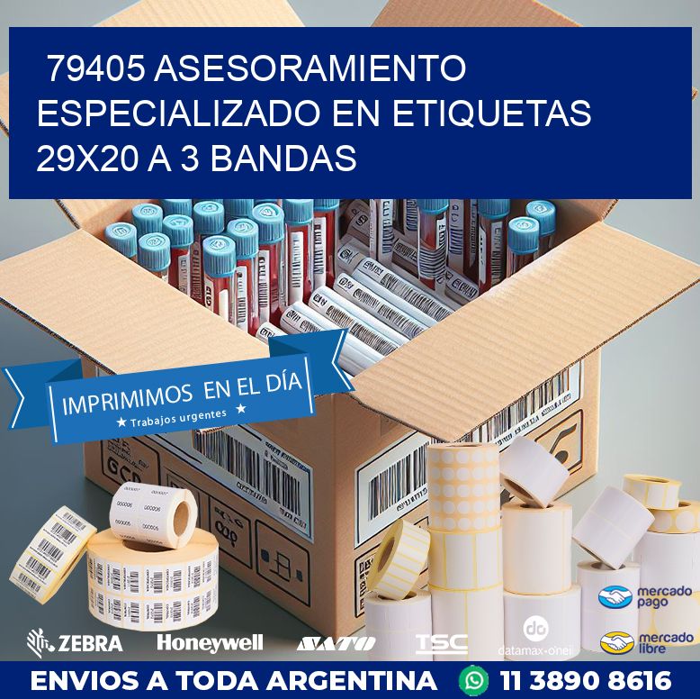 79405 ASESORAMIENTO ESPECIALIZADO EN ETIQUETAS 29X20 A 3 BANDAS