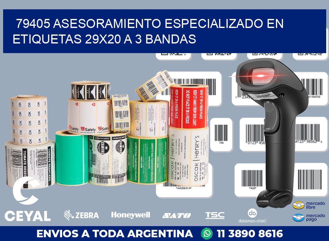 79405 ASESORAMIENTO ESPECIALIZADO EN ETIQUETAS 29X20 A 3 BANDAS