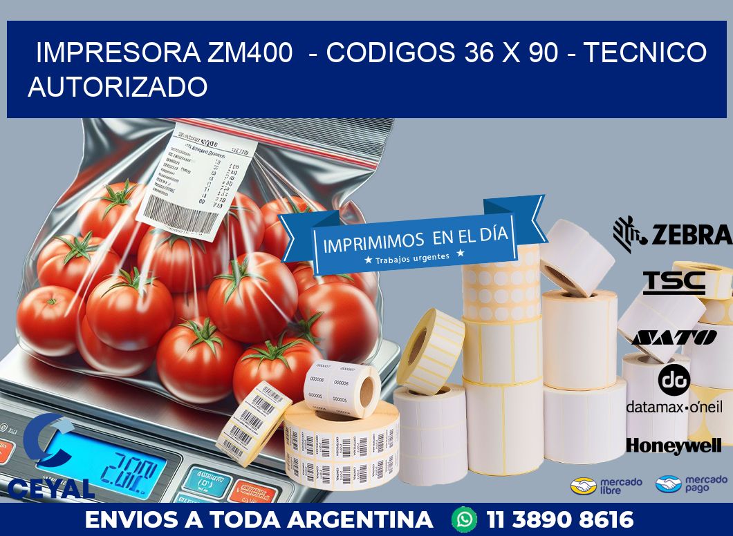 IMPRESORA ZM400  – CODIGOS 36 x 90 – TECNICO AUTORIZADO