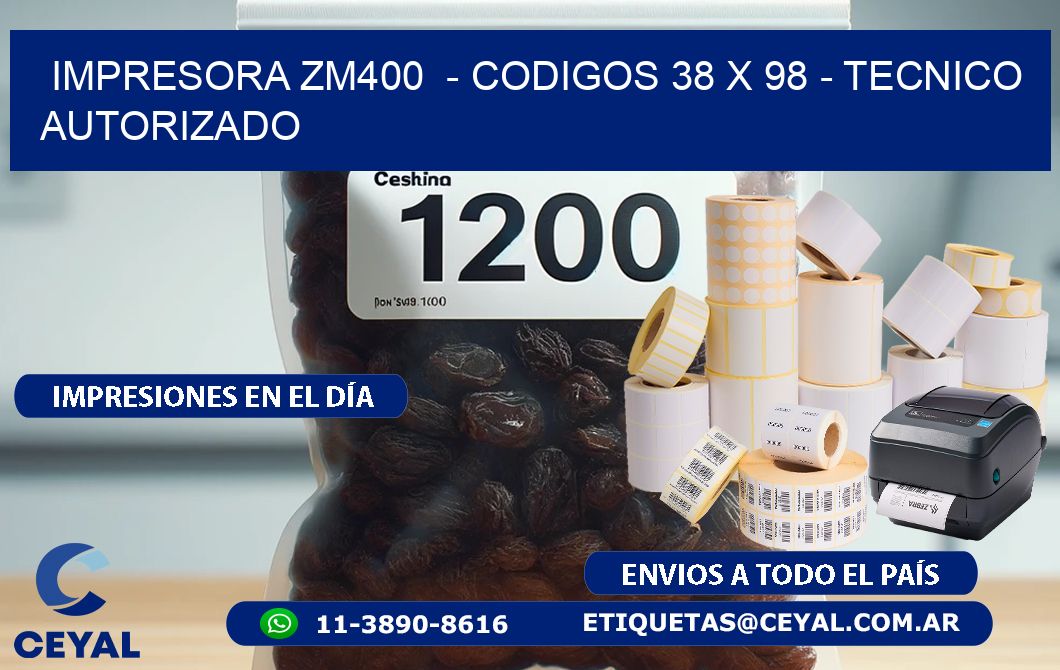 IMPRESORA ZM400  - CODIGOS 38 x 98 - TECNICO AUTORIZADO