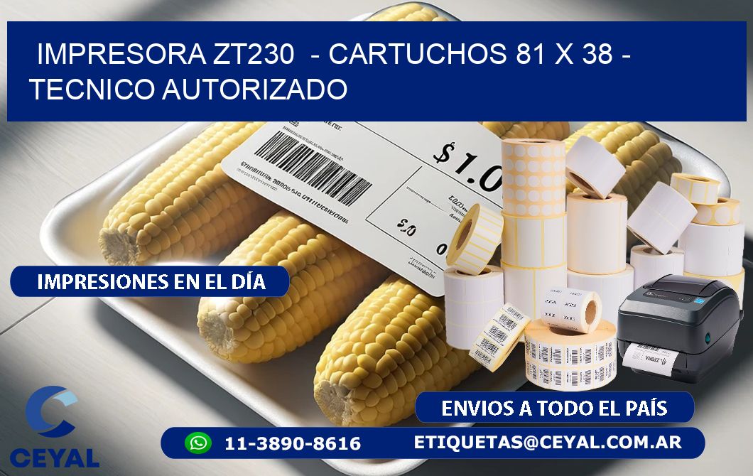 IMPRESORA ZT230  - CARTUCHOS 81 x 38 - TECNICO AUTORIZADO