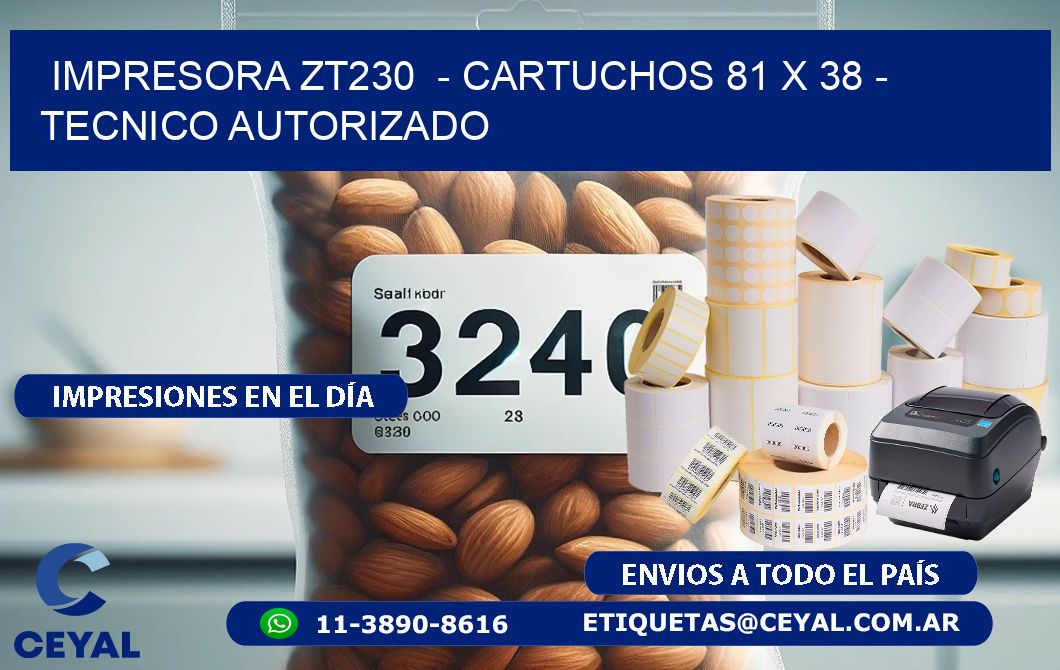 IMPRESORA ZT230  - CARTUCHOS 81 x 38 - TECNICO AUTORIZADO