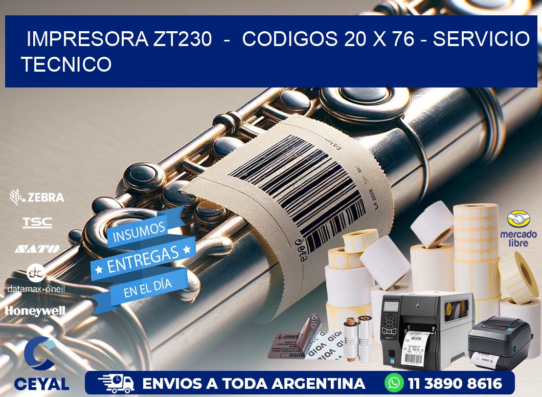 IMPRESORA ZT230  -  CODIGOS 20 x 76 - SERVICIO TECNICO