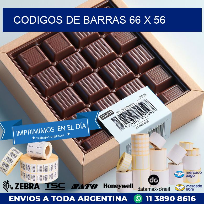 codigos de barras 66 x 56