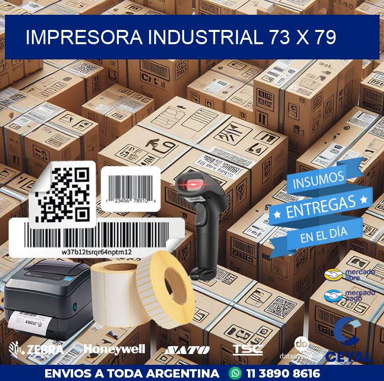 impresora industrial 73 x 79