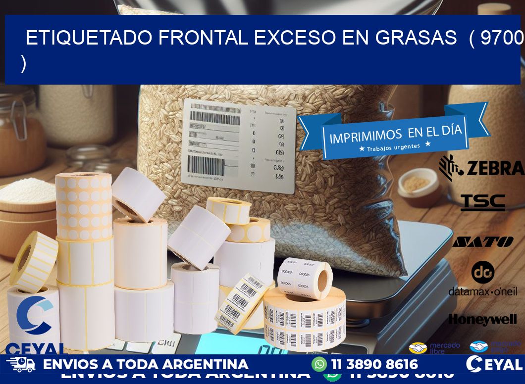 ETIQUETADO FRONTAL EXCESO EN GRASAS  ( 9700 )