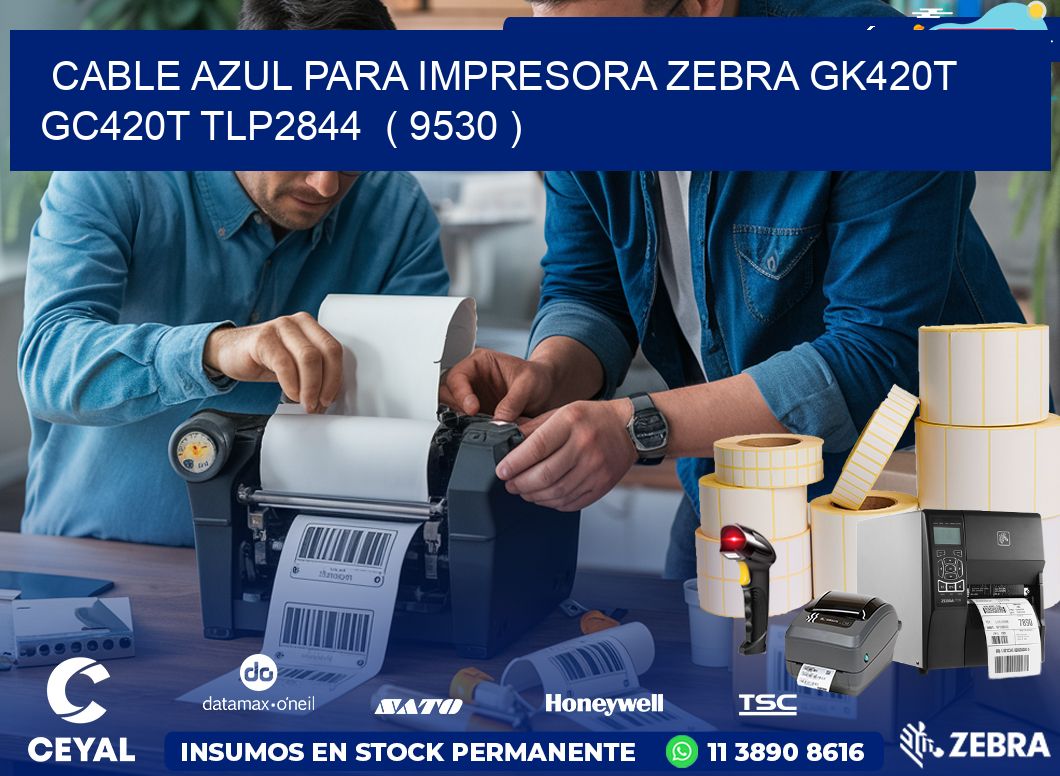 cable azul para impresora zebra GK420T GC420T TLP2844  ( 9530 )