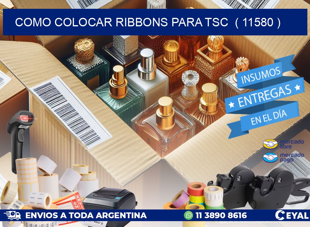COMO COLOCAR RIBBONS PARA TSC  ( 11580 )