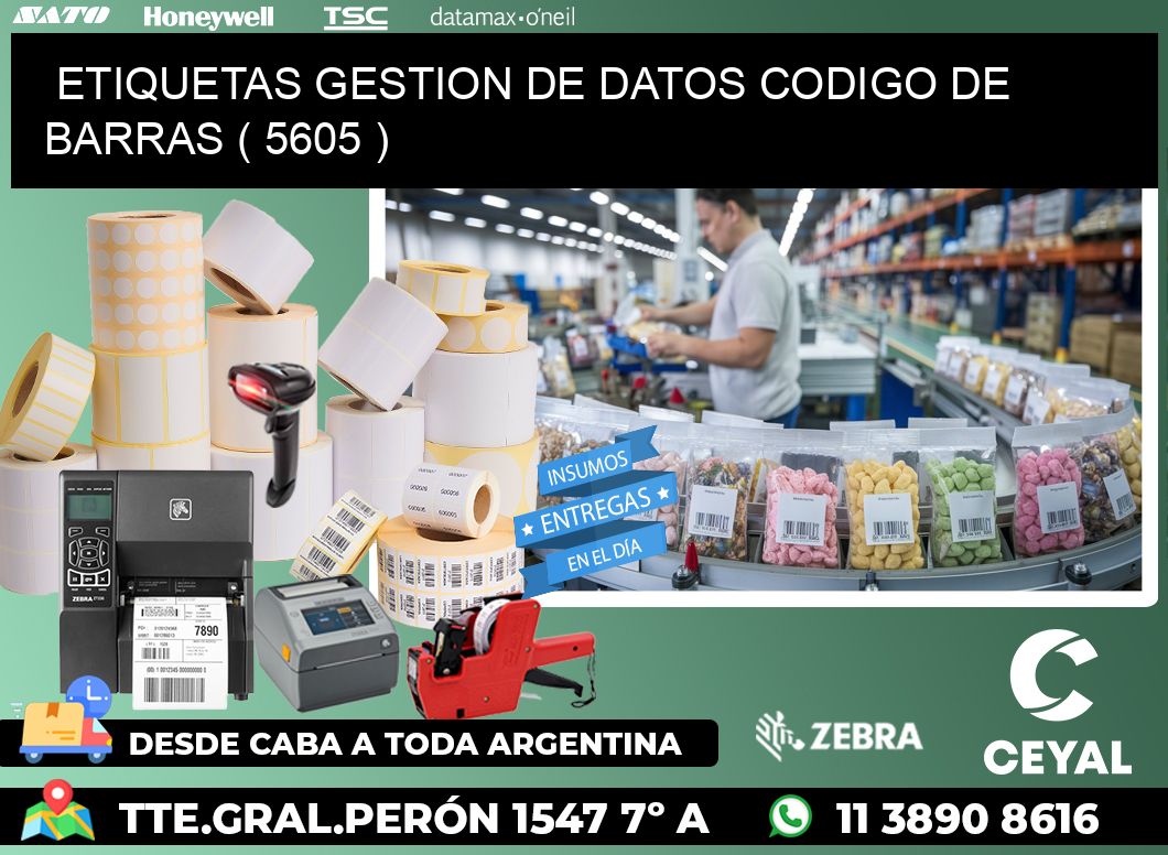 ETIQUETAS GESTION DE DATOS CODIGO DE BARRAS ( 5605 )
