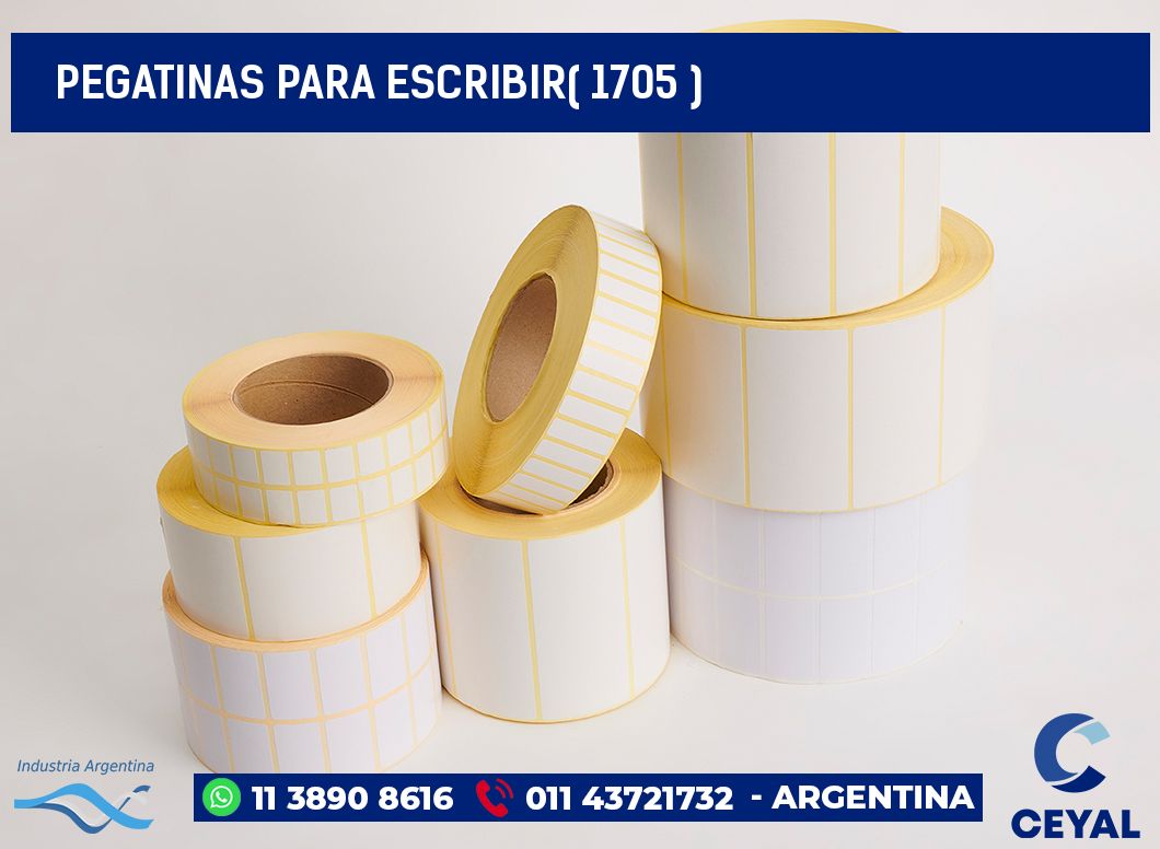 PEGATINAS PARA ESCRIBIR( 1705 )
