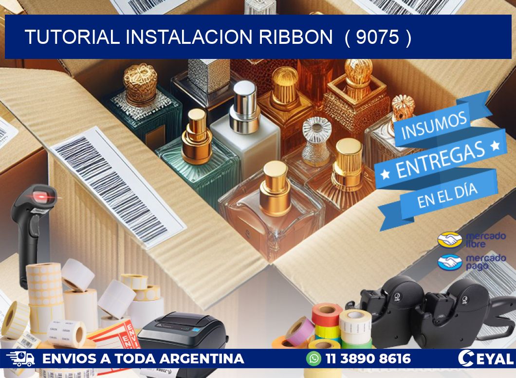 TUTORIAL INSTALACION RIBBON  ( 9075 )
