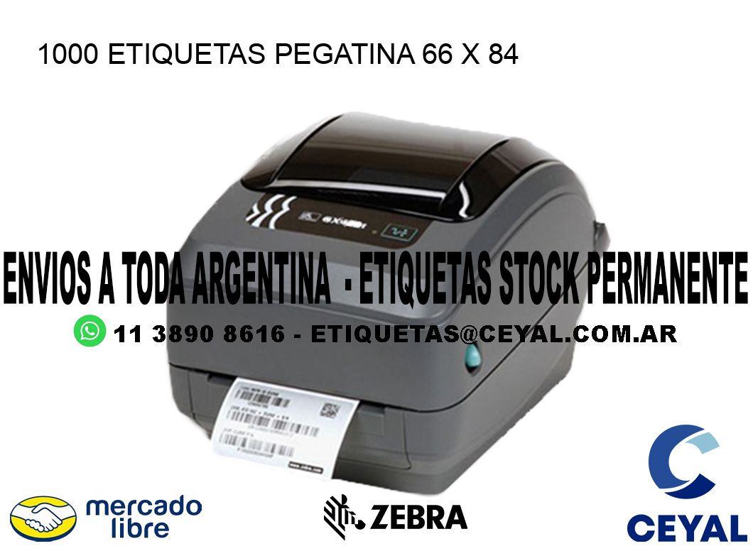 1000 ETIQUETAS PEGATINA 66 x 84