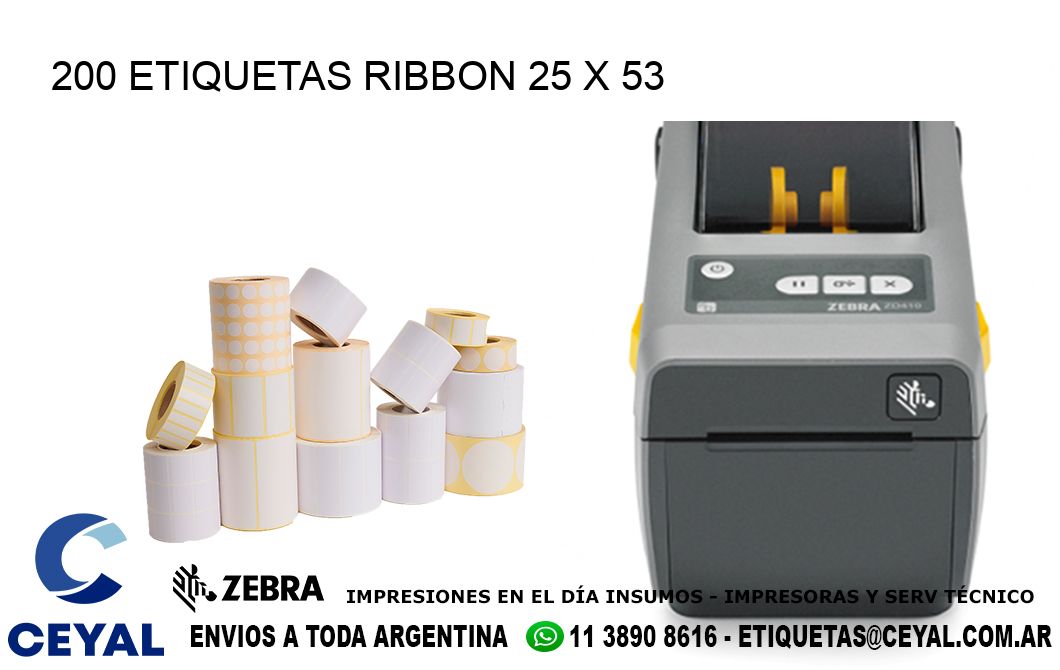 200 ETIQUETAS RIBBON 25 x 53