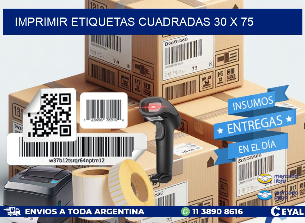 IMPRIMIR ETIQUETAS CUADRADAS 30 x 75
