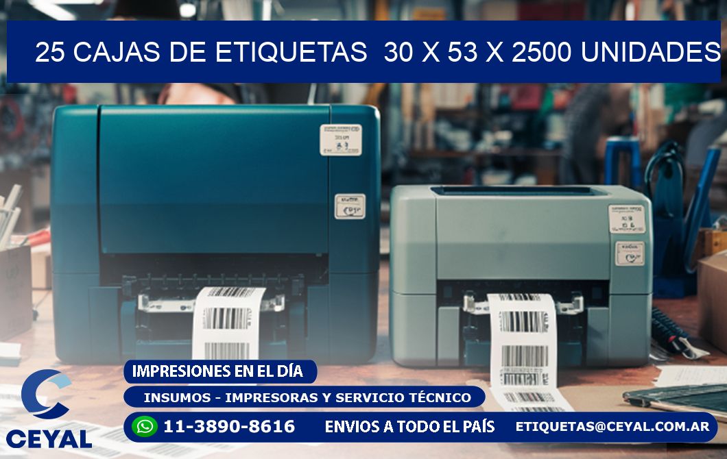 25 CAJAS DE ETIQUETAS  30 x 53 X 2500 UNIDADES