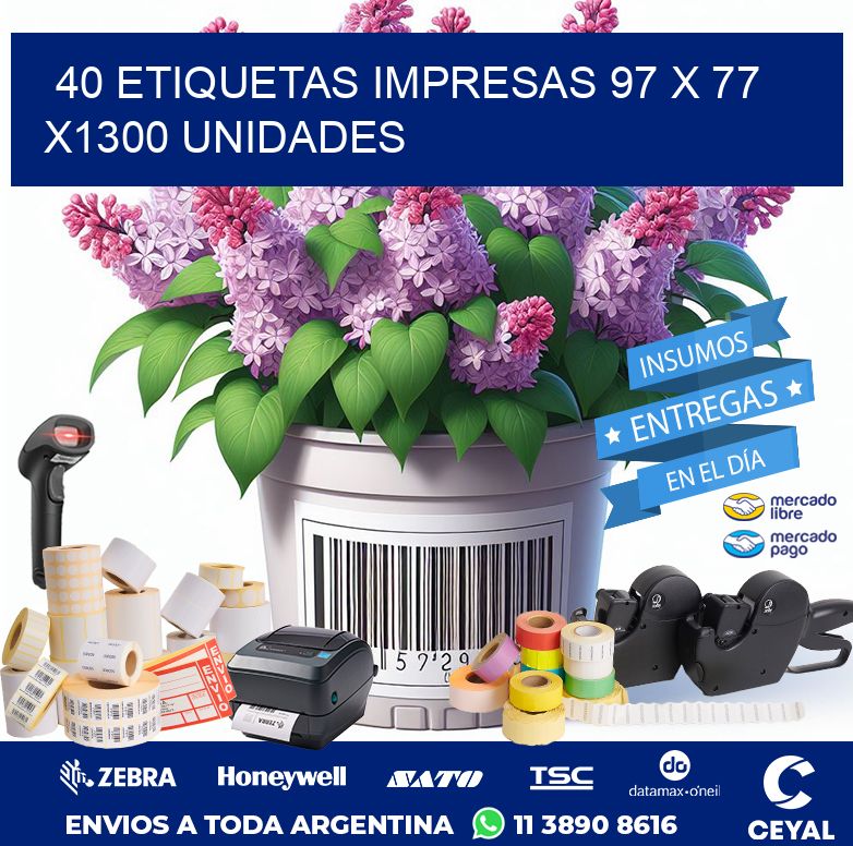 40 ETIQUETAS IMPRESAS 97 x 77 X1300 UNIDADES