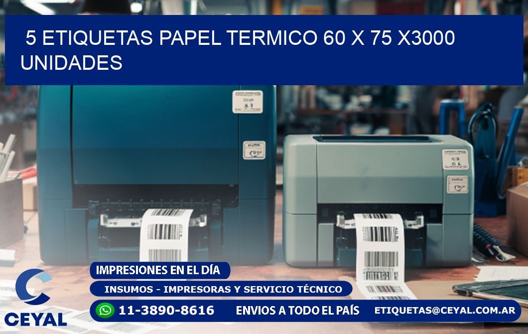 5 ETIQUETAS PAPEL TERMICO 60 x 75 X3000 UNIDADES