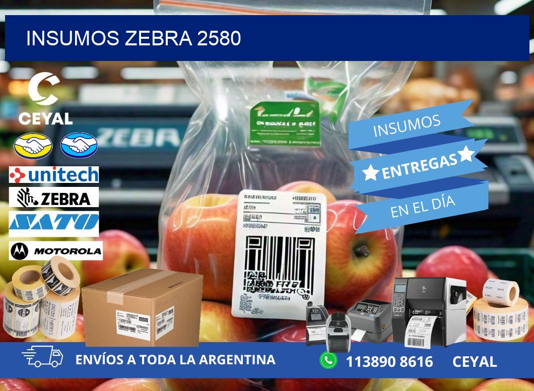 INSUMOS ZEBRA 2580