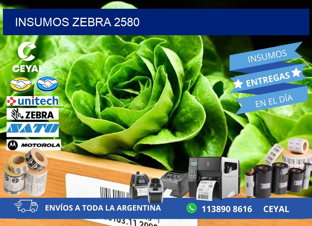 INSUMOS ZEBRA 2580