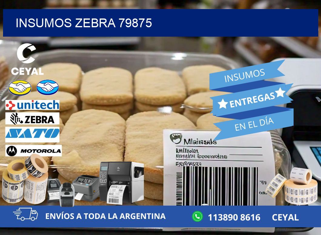 INSUMOS ZEBRA 79875