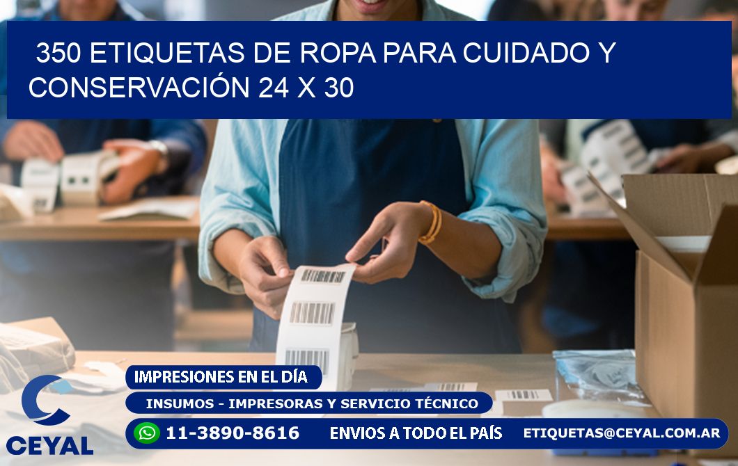 350 ETIQUETAS DE ROPA PARA CUIDADO Y CONSERVACIÓN 24 x 30