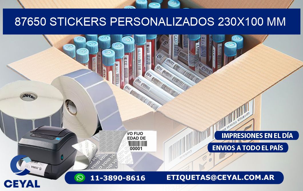 87650 STICKERS PERSONALIZADOS 230x100 mm