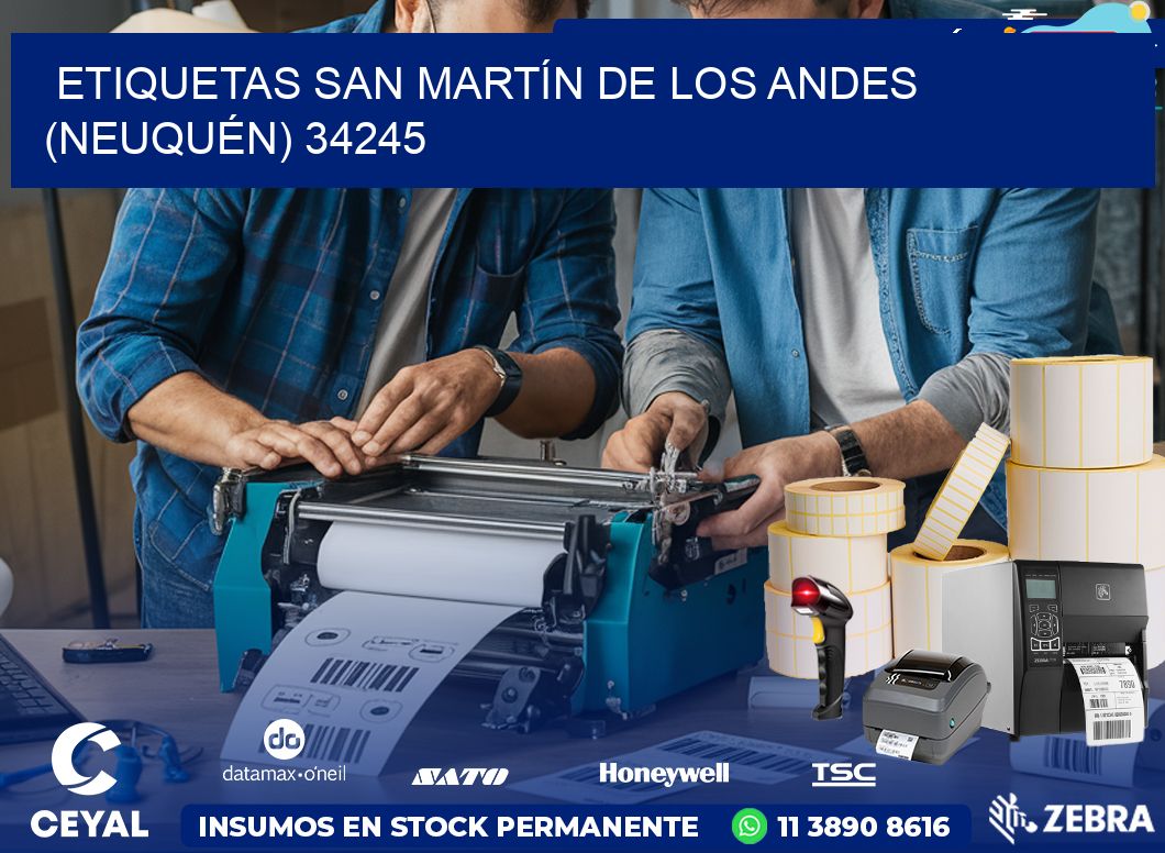 ETIQUETAS SAN MARTÍN DE LOS ANDES (NEUQUÉN) 34245