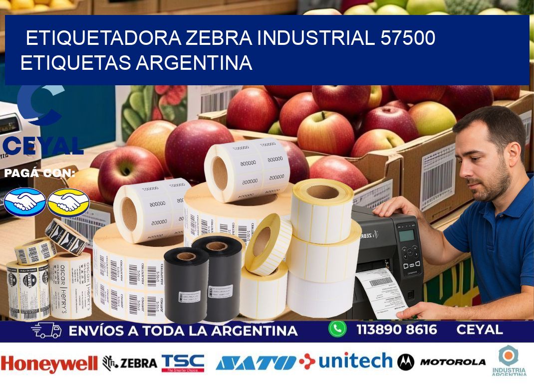 etiquetadora zebra industrial 57500 etiquetas argentina