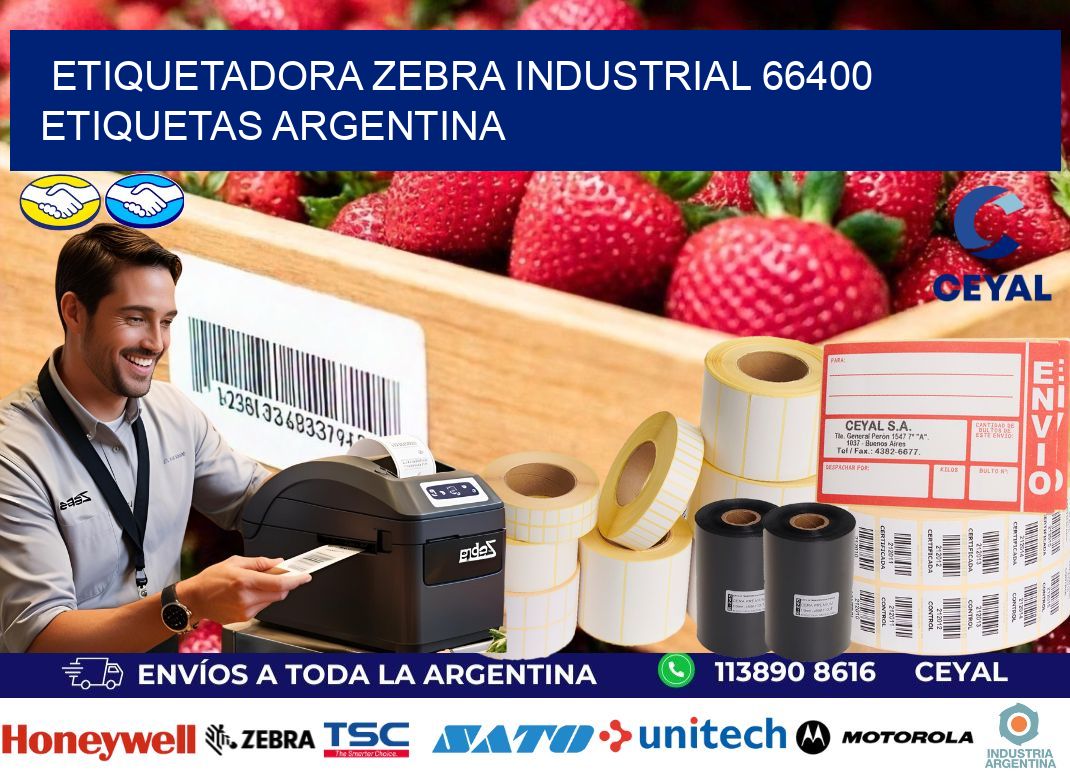 etiquetadora zebra industrial 66400 etiquetas argentina