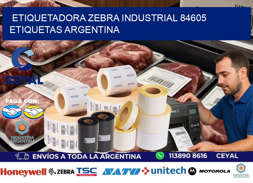 etiquetadora zebra industrial 84605 etiquetas argentina