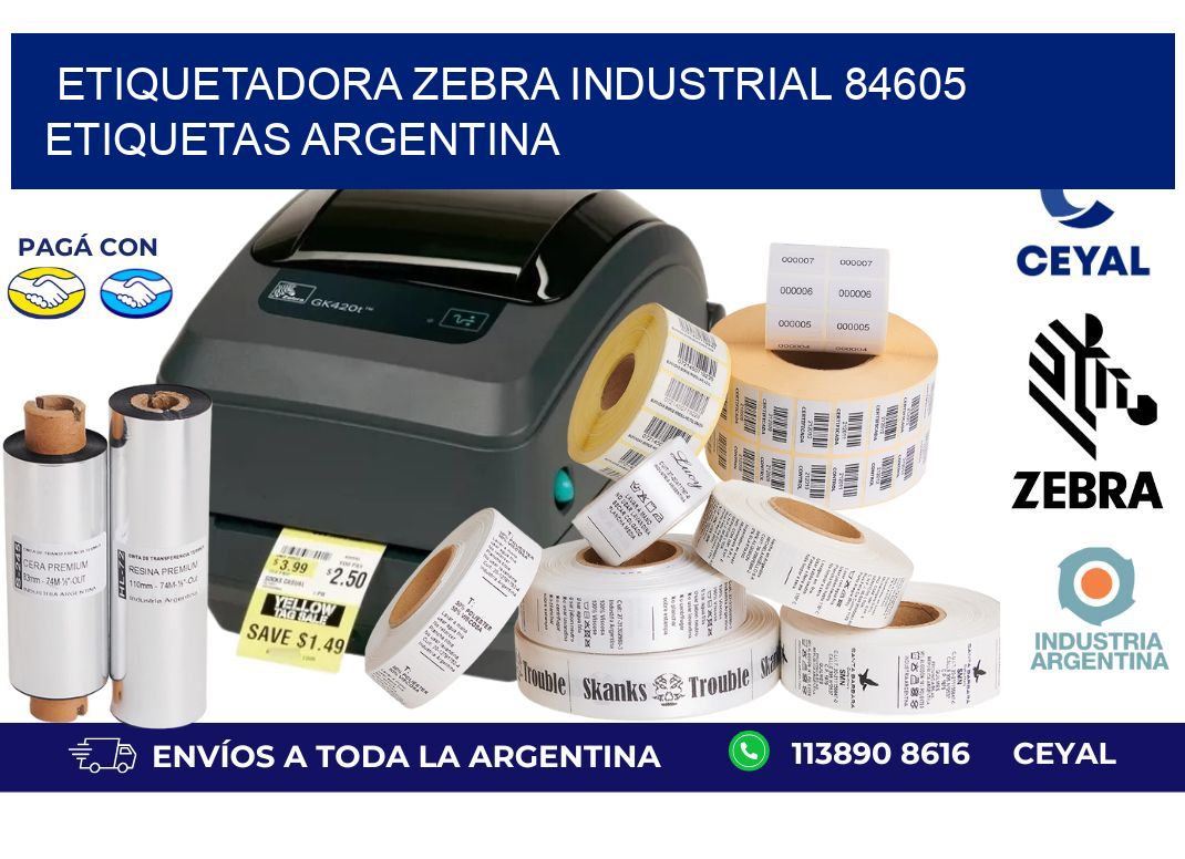 etiquetadora zebra industrial 84605 etiquetas argentina