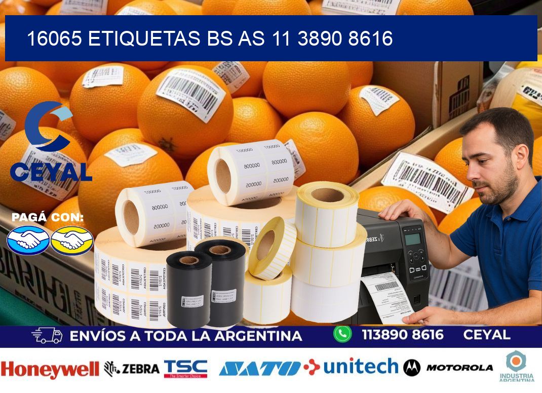 16065 ETIQUETAS BS AS 11 3890 8616
