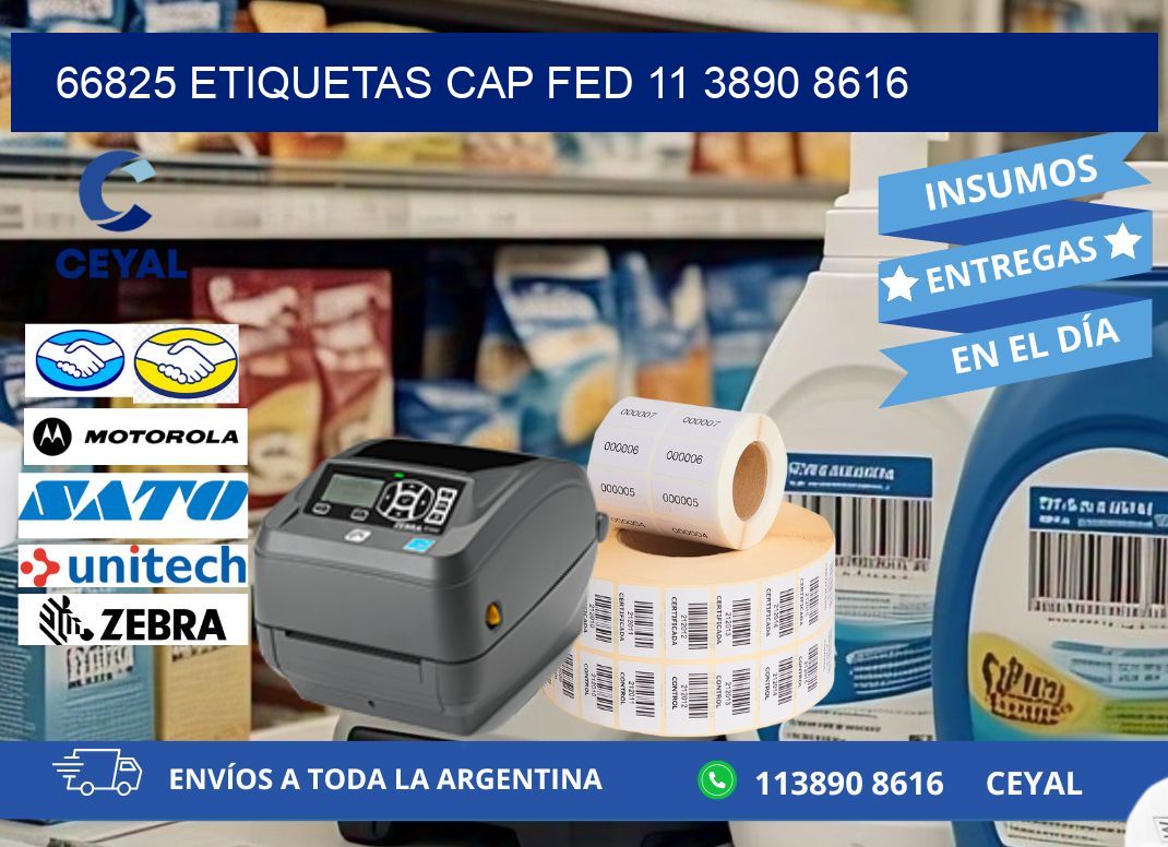 66825 ETIQUETAS CAP FED 11 3890 8616